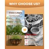 Coco Liners for Planters - Thick Coconut Fiber, Pre-Drained Planter