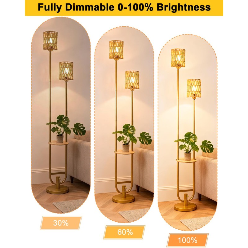 Lightdot 63IN Gold Floor Lamp with 2 Rattan Shades Mid