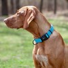 Dogline Collar de Nylon, Color Celeste, Meno