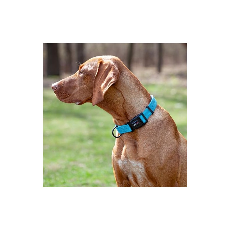 Dogline Collar de Nylon, Color Celeste, Meno