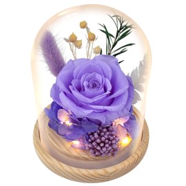 Preserved Flowers – Forever Fresh Flowers That Last, Floraly Roses Fresh Bouquet for Delivery Prime, Unique Gift for Women, Mom – Birthday, Anniversary, Christmas, Valentines Day & Mothers Day