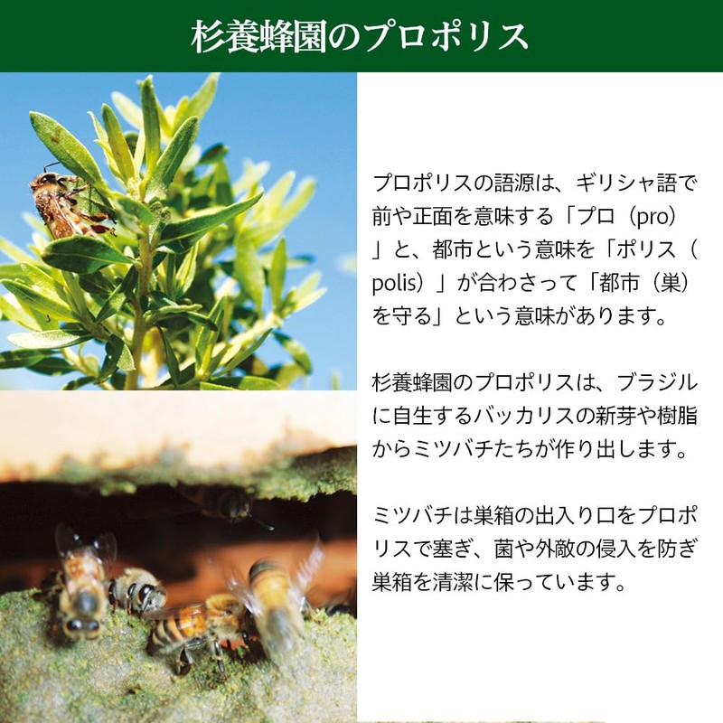 杉養蜂園 プロポリスゴールド粒分包タイプ93粒 (31包)(1ヵ月分)