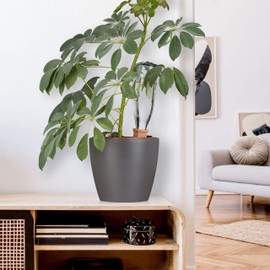 Relaxdays Clay Tips Irrigation, Set of 4, for Wine & PET Bottles, Balcony Boxes & Potted Plants, Watering Cones, Terracotta