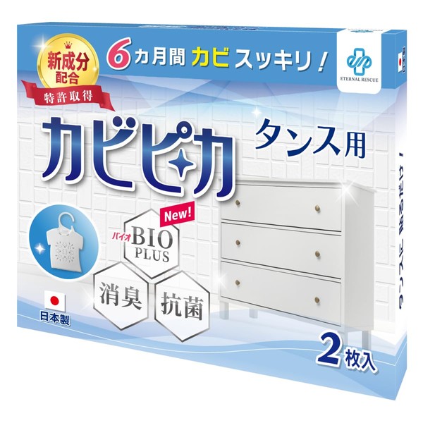 [Collaborative Research with Nagasaki International University] [1 Year Work, 2