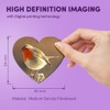 1 x Heart MDF Magnets - Robin Redbreast Bird Animals