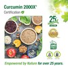 Bell Curcumin 2000X® - combines turmeric with black pepper, Vitamin