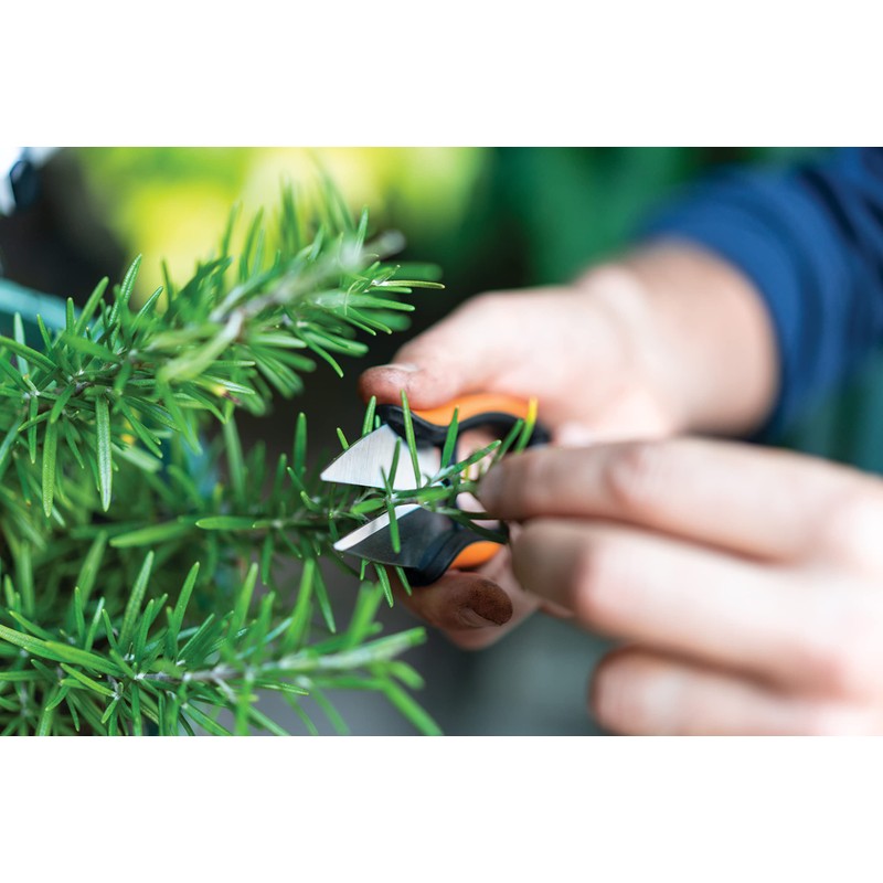 Fiskars Herb Scissors Length 5.1" Stainless Steel Blades/Plastic Handles Black/Orange
