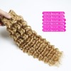 Curly Clip in Hair Extensions Real Human Hair 22inch 120g