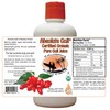Absolute Goji - Pure Organic Goji Juice from CAOH (1