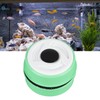 Mini Aquarium Magnetic Brush Strong Magnetic Force Prevent Slip Fish