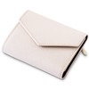 Ambitions Mini Wallet, Tri-Fold (Genuine Leather Luster and Glossy, Won't