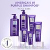 L'Oréal Paris Ever Pure Purple Shampoo Matizador Pelo Rubio 200