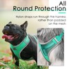 ThinkPet Harness and Leash Set Reflective Breathable Soft Air Mesh