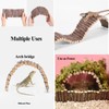 RUNANIA Crested Gecko Tank Accessories，Reptile Vines Plants with Coconut Shell
