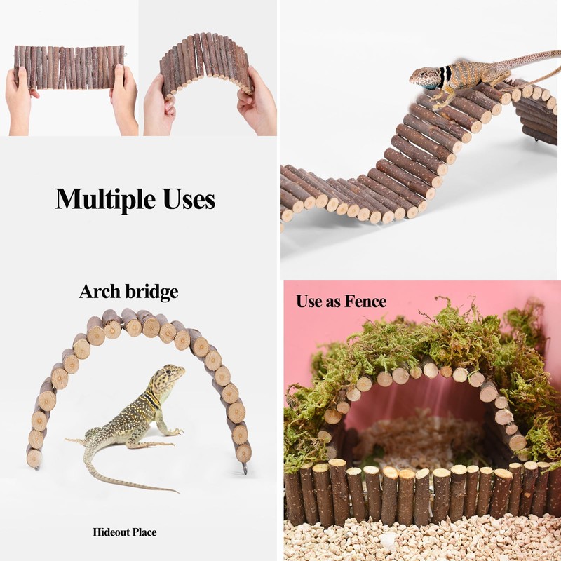 RUNANIA Crested Gecko Tank Accessories，Reptile Vines Plants with Coconut Shell