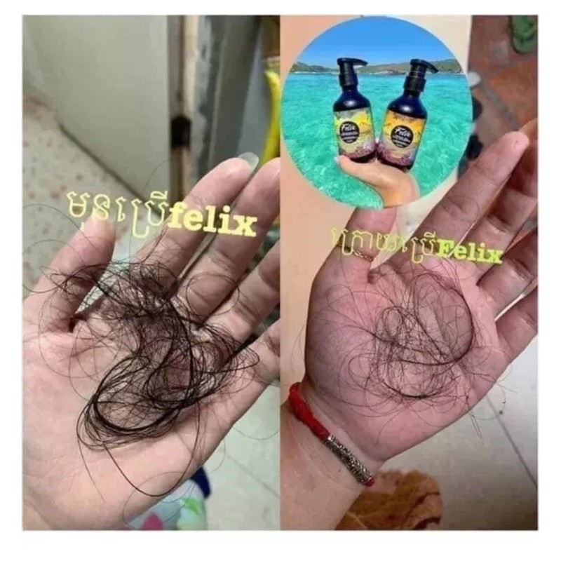Felix Argan Oil Hair Shampoo សាប៊ូកក់សក់ហ្វ