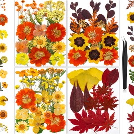 85Pcs Fall Dried Flowers for Crafts, Natural Pressed Flowers for Crafts Real Dried Pressed Flowers Dry Leaves in Orange & Yellow for Resin, DIY Art, Scrapbook, Jewelry, Candle & Soap Making w/ Tweezer