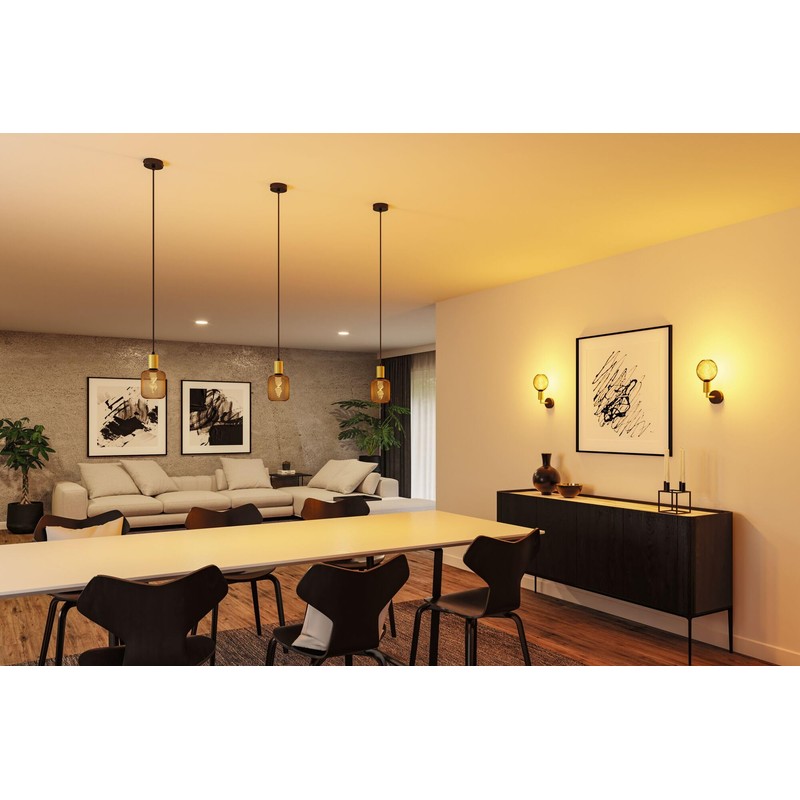 Paulmann 71134 luminaire Ravi IP44 E27 max. 60W Black matt,