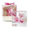 Felinas Cherry Blossom Herbarium "Kanzakura" Celebration Gift Mother's Day Present
