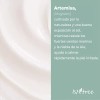 Isntree Mugwort Calming Cream 50ml Todo Tipo De Piel Día/noche