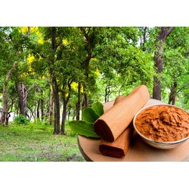 Sandalwood powder, Pure natural Sandalwood powder 100g, Chandan powder