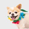 Tug of War Dog Toy Interactive Colorful with Sound Beautiful
