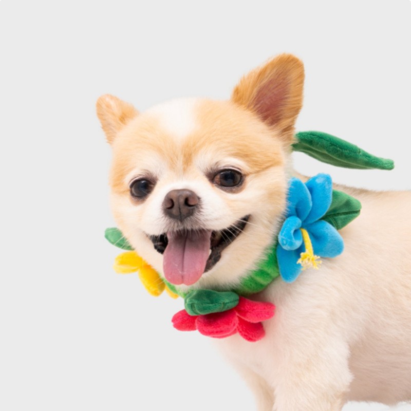 Tug of War Dog Toy Interactive Colorful with Sound Beautiful