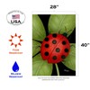 Toland Home Garden 108234 Ladybug Ladybug Flag 28x40 Inch Double