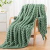 RUIKASI Soft Fleece Blanket Green Throws - Fluffy Warm Throw
