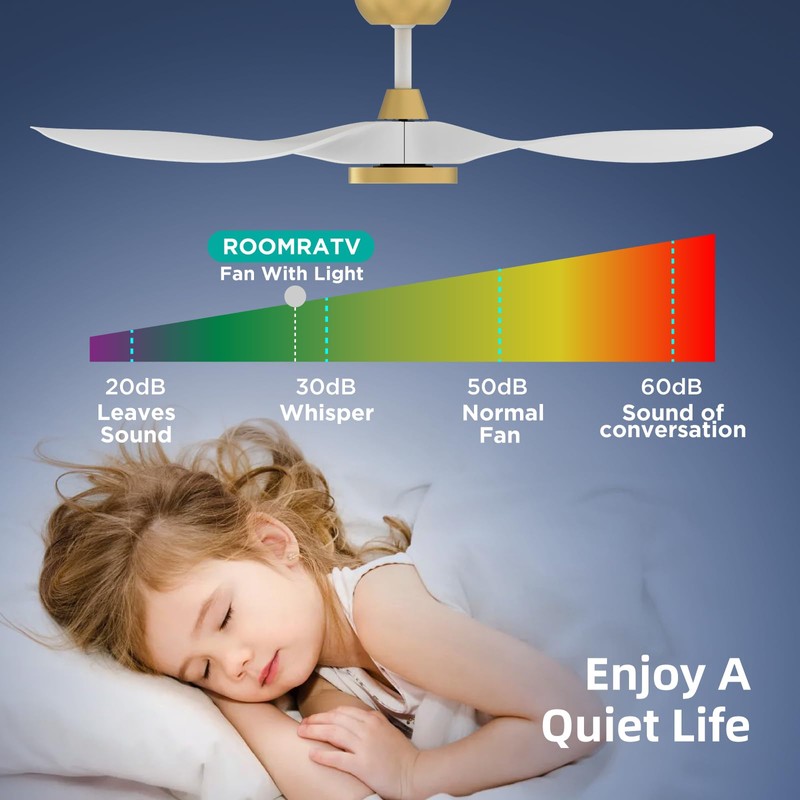 Roomratv Ceiling Fans with Lights,Large Airflow 52inch Modern Ceiling Fan