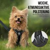 OneTigris ANTZ Tactical Harness Set for Small Dogs, and Lead