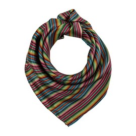 M&F Western Products Rag Silk Multi Stripe Multi One Size