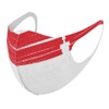 018471 Design Mask, Set of 2, Polyester, Washable, Cloth Mask,