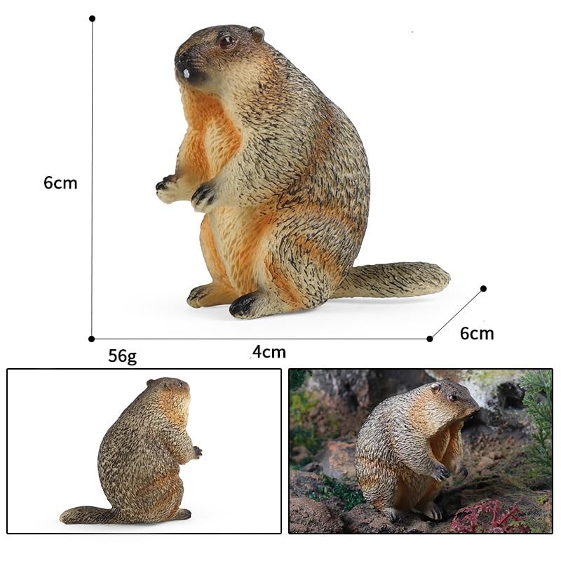 titihuirie 3PCS Groundhog Figurine Groundhog Sculpture Groundhog Model Animal Model