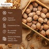 Rulop Walnuts in Shells 500g, Chilian Walnuts, Vegan and 100%