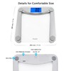 Vitafit Digital Bathroom Weight Scale for Body Weight, High Accuracy