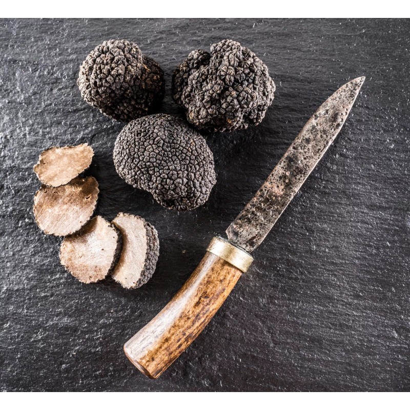 Giorgio Truffle Shop Black Truffle Extra Virgin Olive Oil 8.5oz