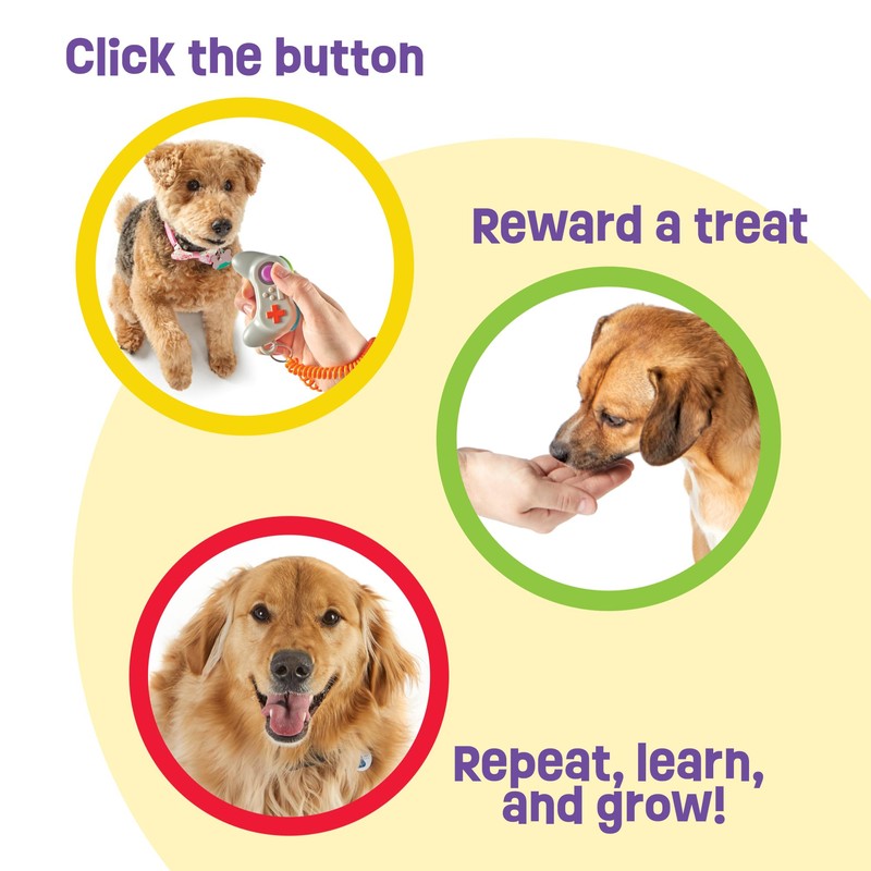 Brightkins Pet Training Tool Click and Reward Clicker Game Controller