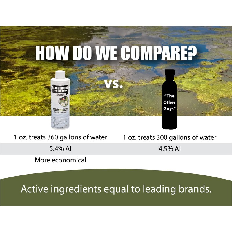 Bloom Buster Algae Control for Fish Ponds & Water Gardens