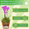 Halatool 6OZ Green Moss for Indoor Plants, 8QT Orchid Moss