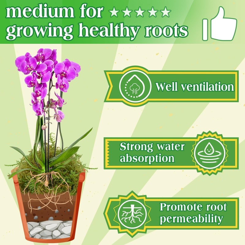 Halatool 6OZ Green Moss for Indoor Plants, 8QT Orchid Moss