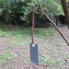 Bush Craft Bonfire Grill Plate