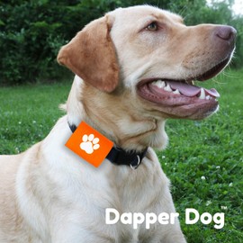Dapper Dog Pet Tag Silencer and AirTag Holder (Orange with White Paw)