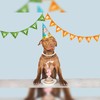 KUDES Exquisite and Adjustable Dog Necklace: Elegant Classic Pearl Collar