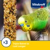 Vitakraft Crunch Sticks Parakeet Treat - Pet Bird Treat Toy