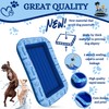 Schwimmer Dog Pool Float – Premium Pool Float for Large