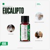 VIDA SCENTS OLEOS Aceite Esencial de Eucalipto 10 ML 100%