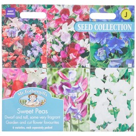 Mr Fothergills Mr Fothergill's 21025 Flower Seeds, Sweet PEAS Collection