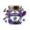 ChocZero Keto Blueberry Fruit Spread, No Added Sugar, Low Carb,