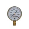 Ametek USG Model P-601 2.5in 0-4000 PSI Brass Compressed Gas